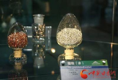 重温红色记忆 铸就青春之魂——小陇带你走进甘肃高校师生红色研学之旅